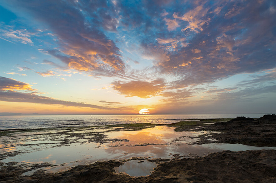 Zatoki, Playa de la Mata i plaża dla psów